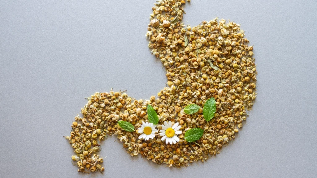 dr.consulta - Forma do estômago feita de camomila seca com flores de camomila e folhas de hortelã, remédio natural para estômago saudável e digestão.