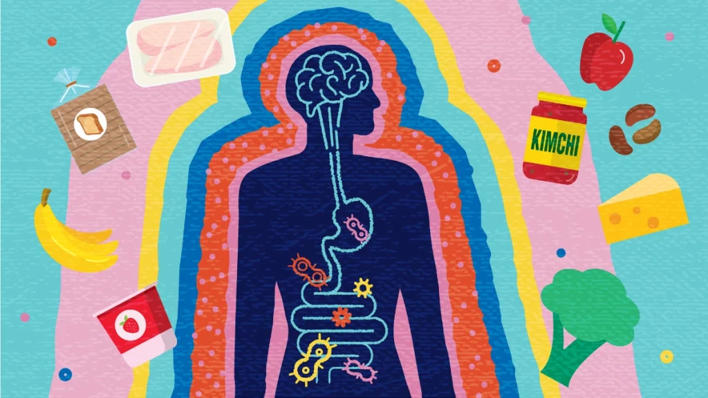 dr.consulta -  Conceito abstrato da saúde e da ciência da conexão do intestino do cérebro com a silhueta do ser humano com cérebro e intestino cercado pela bactéria do intestino e pelos alimentos prebióticos e probióticos.