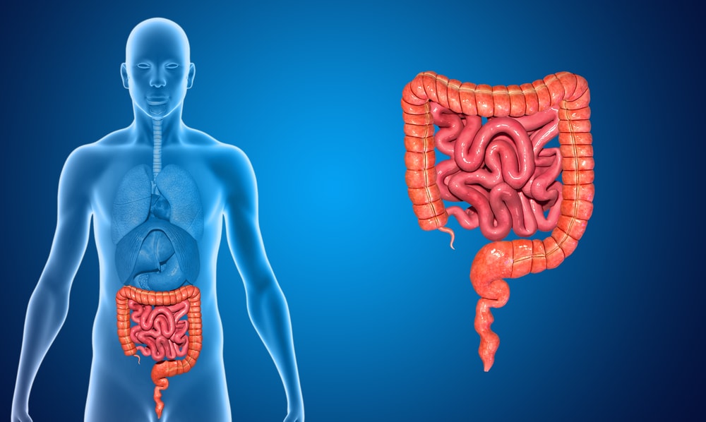 Retocolite ulcerativa: o que é e como tratar?