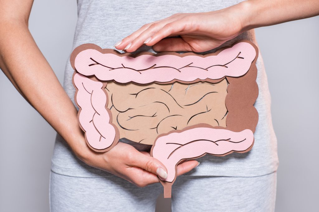 Por que a microbiota intestinal é tão importante para a saúde?