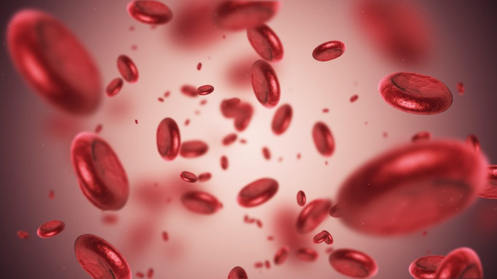 Como identificar e tratar a anemia?