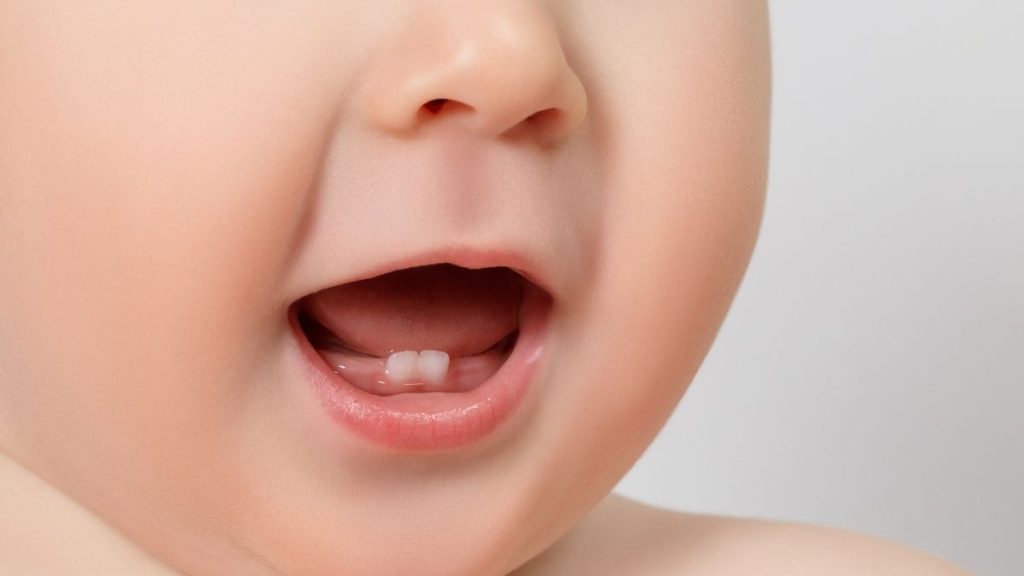 Dentes: Como e quando nascem os primeiros dentes do neném?