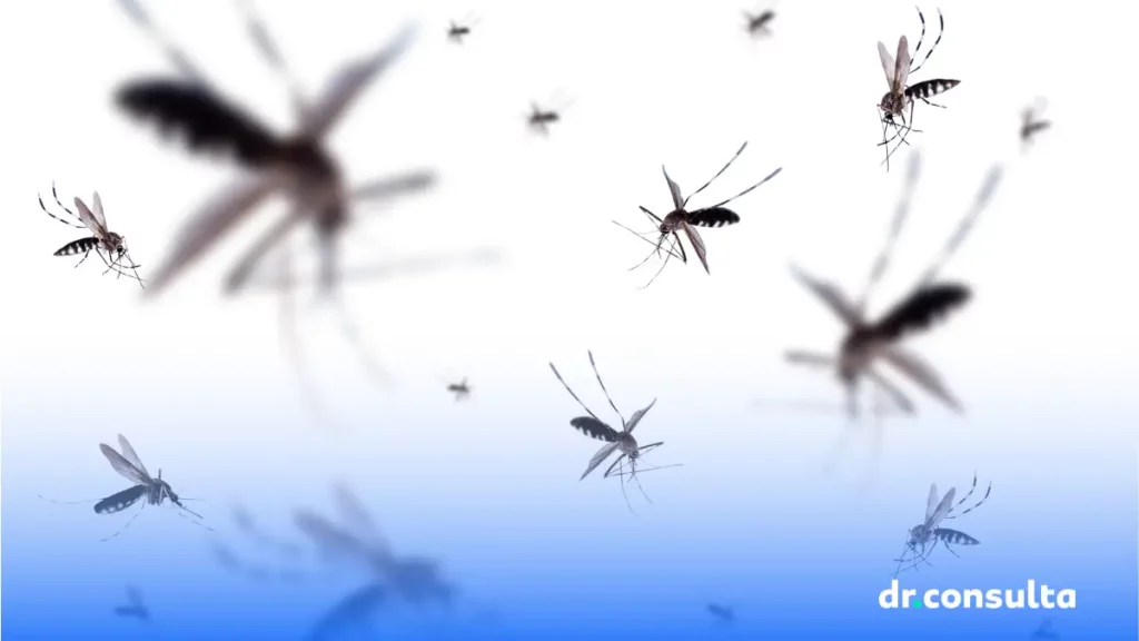 Por que a dengue é tão perigosa? Saiba os principais motivos
