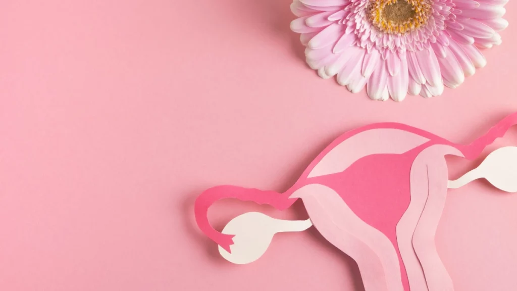 dr.consulta - n imagem, sistema reprodutor feminio e uma flor simbolizando conteúdo sobre estrogênio.