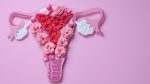 dr.consulta - imagem figurativa órgão sexual feminino, vulvodínia