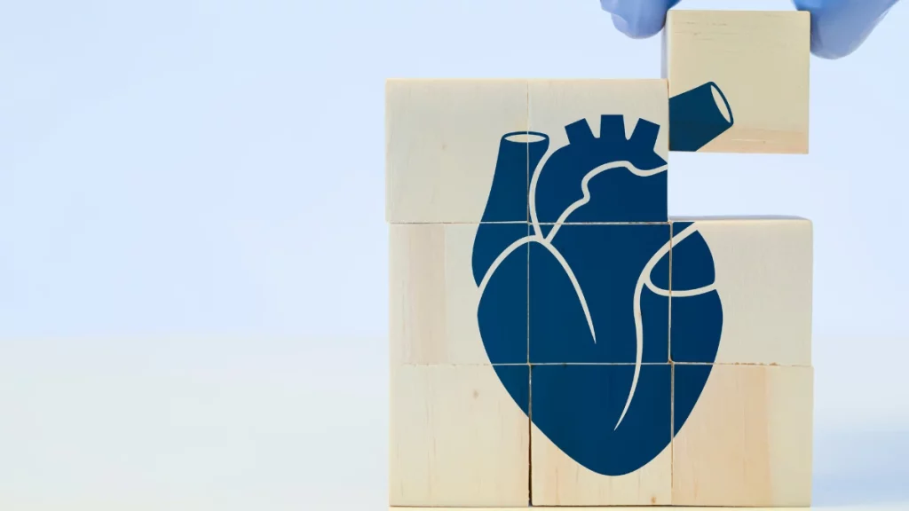dr.consulta - cardiomiopatias, coração simbólico sendo montado por um profissional de saúde